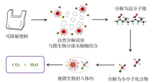 可降解塑料的降解機(jī)理：生物降解與光降解篇