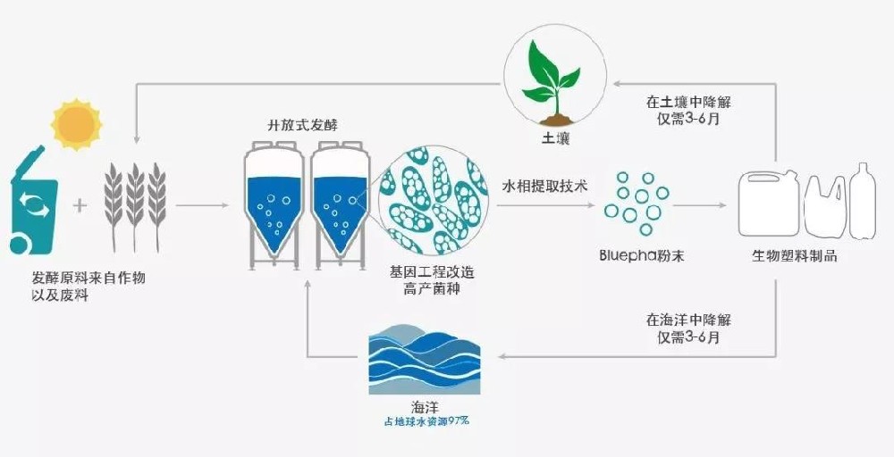 生物基降解塑料：PHA