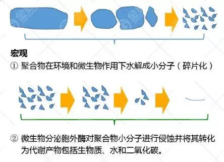 生物降解塑料PLA的降解機(jī)理