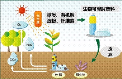 影響材料降解性能的外界因素