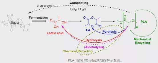 對聚乳酸（PLA）的耐熱性研究