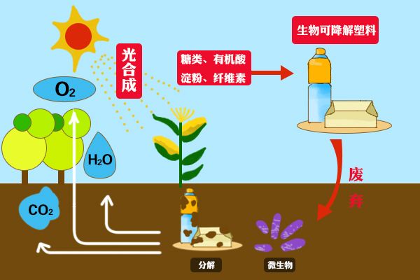 ?可降解知識庫：降解機理篇