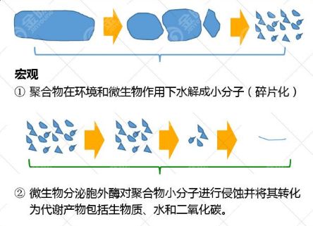 PLA是如何做到可降解的？