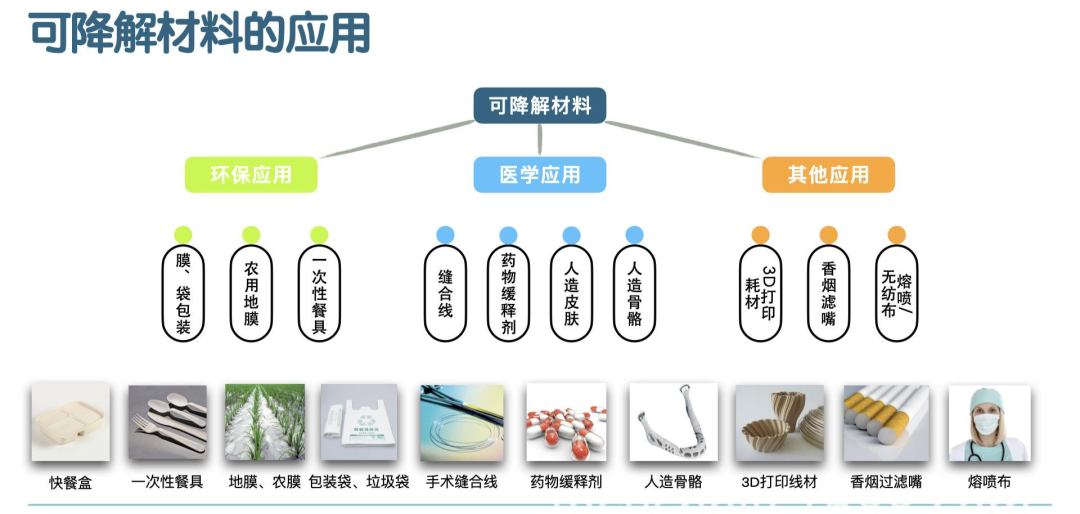 和塑美科技