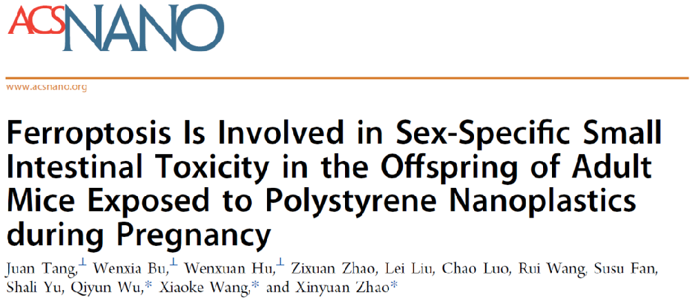 南通大學(xué)研究成果登上ACS Nano：懷孕期間吸入納米塑料或?qū)⑻岣吆蟠净寄c道疾病的概率！