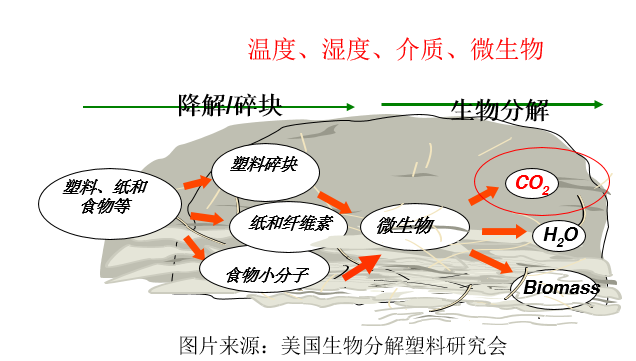 和塑美科技