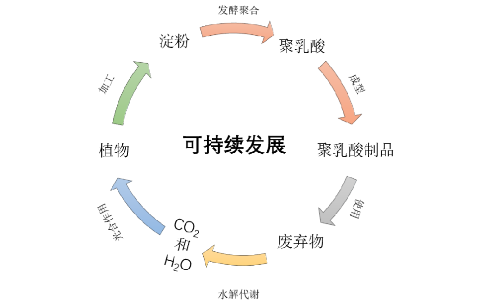 日本首次，100%聚乳酸長絲商業(yè)化應用